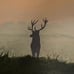 Painting - The Great Elk