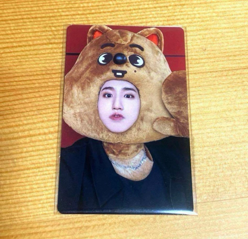 Stray Kids SKZ han Maxident JYP Shop skzoo Photocard