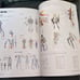 BlazBlue Material Collection Art Book
