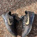 Nike ID Kobe 11 mamba day
