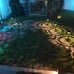 Bright Solar Pathway Lights 6 Pack,Color Changing+Warm White LED Solar Lights