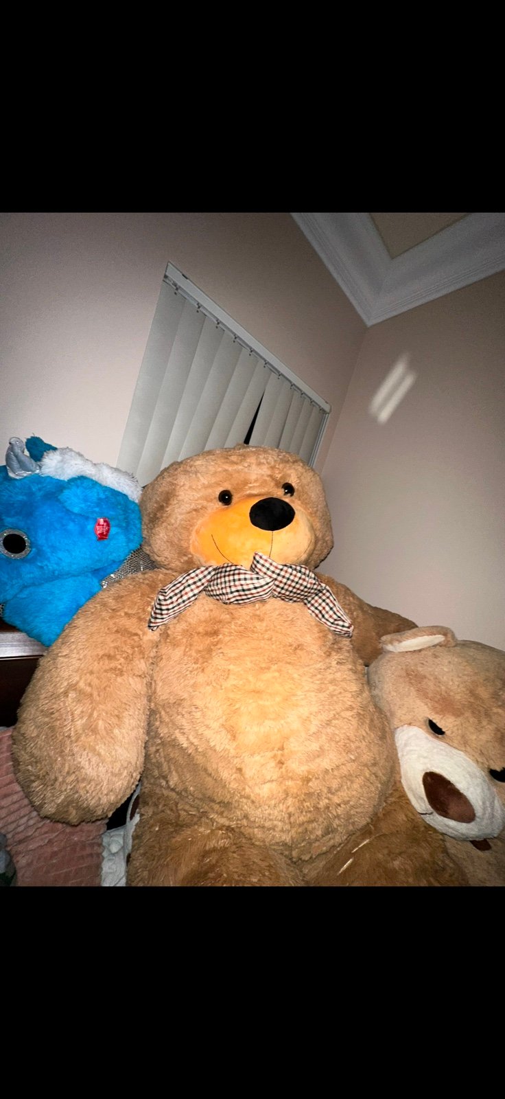 Giant bear teddy huge 6 feet tall