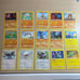 Pokémon Card Lot