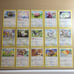 Pokémon Card Lot