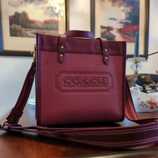 Coach Field Tote 22 in Colorblock