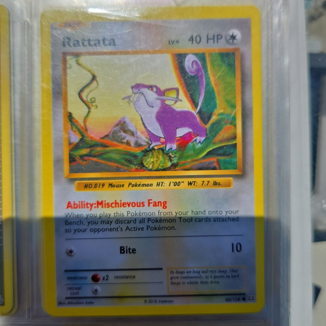 Pokemon Rattata 66/108 - XY Evolutions - Reverse Holo Common Used Pokemon Card