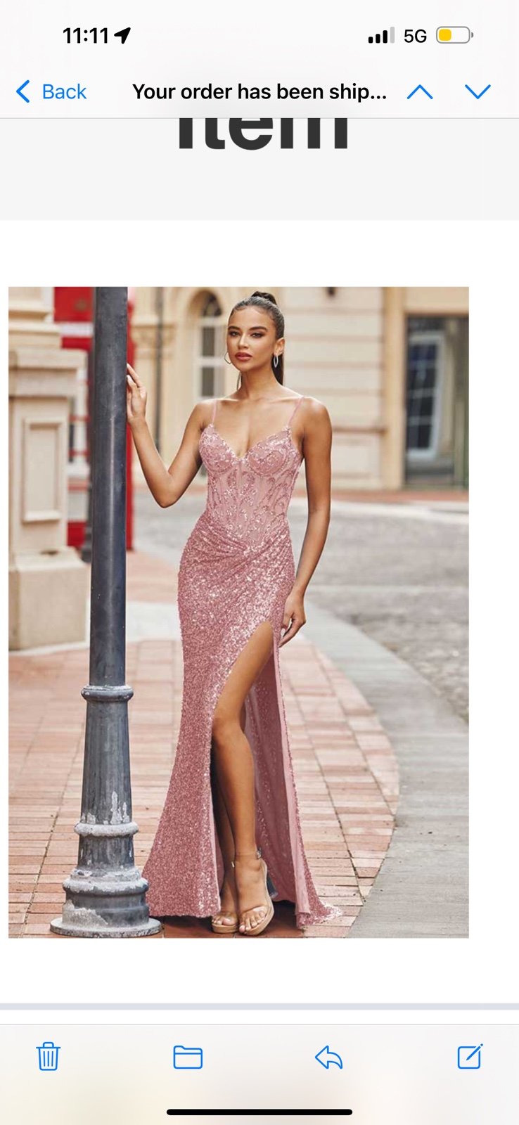 Stacees Dress NWT