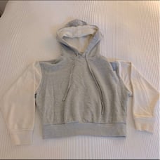 WSLY Cropped Hoodie