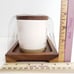 Rae Dunn SALT & PEPPER Cellars w/ Wooden Lids & Wooden Tray