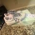 Off white low canvas