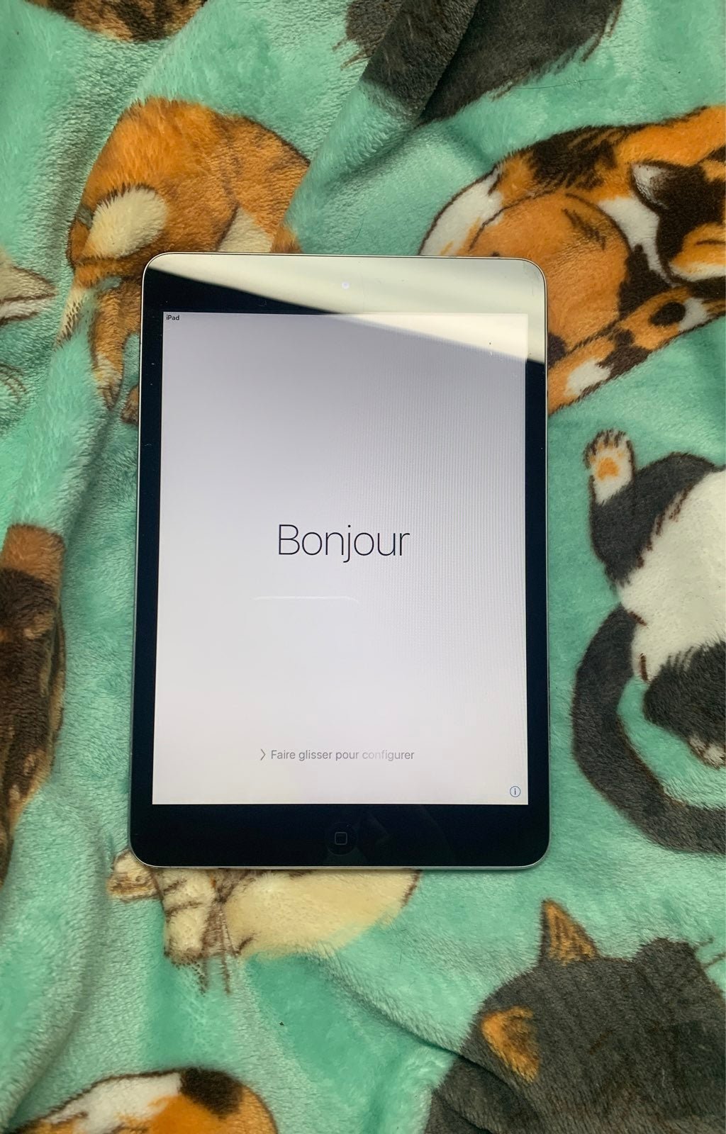 iPad Mini