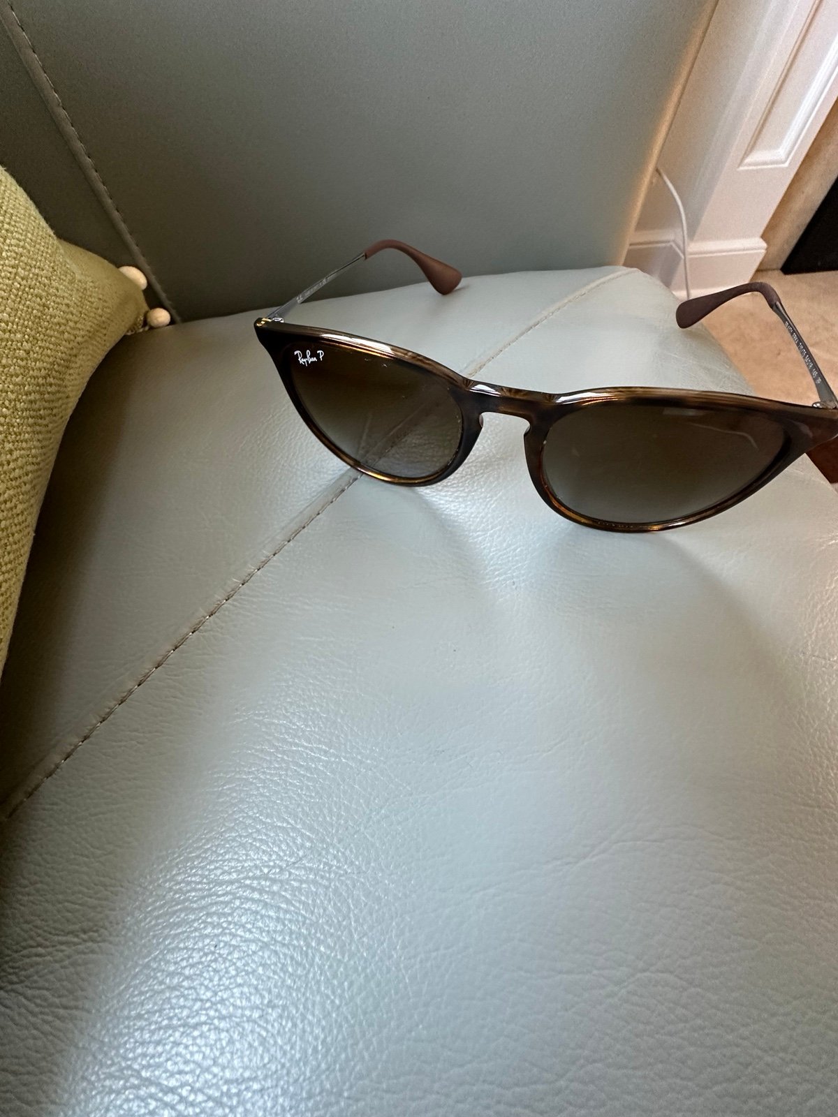 Ray Ban Erika Sunglasses