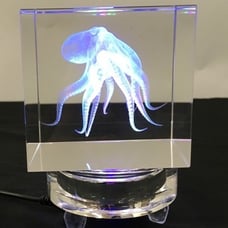Crystal cube octopus