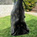 Dooney & Bourke bag