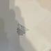 Corelle platters x2