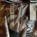Columbia Camo ConveColumbia Camo Convey 25L Rolltop Desert camo Backpack daypack