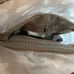 Columbia Camo ConveColumbia Camo Convey 25L Rolltop Desert camo Backpack daypack