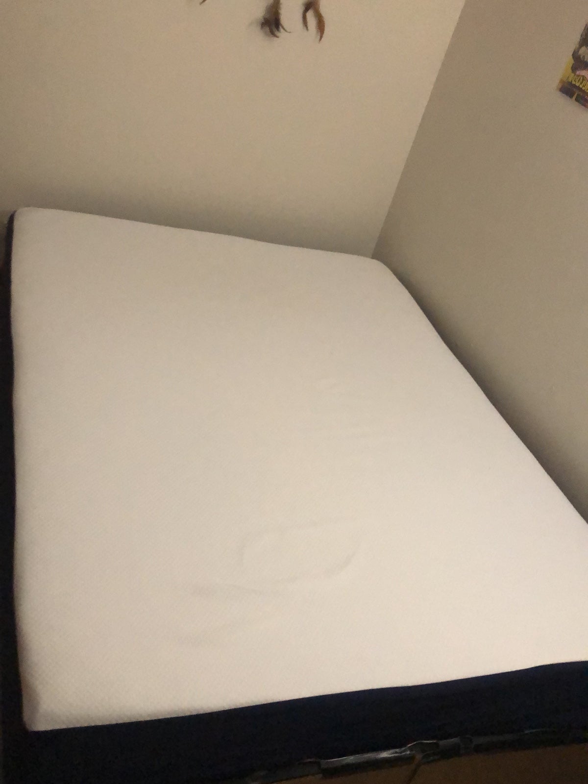 mattress
