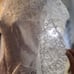 Wedding Dress by Brides Magazine