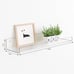 4 Pack Acrylic Shelves for Wall Storage, 15 Floating Bookshelves