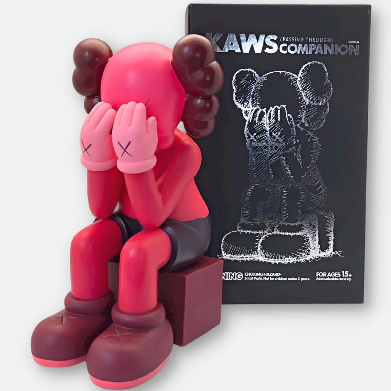 KAWS Passing Through