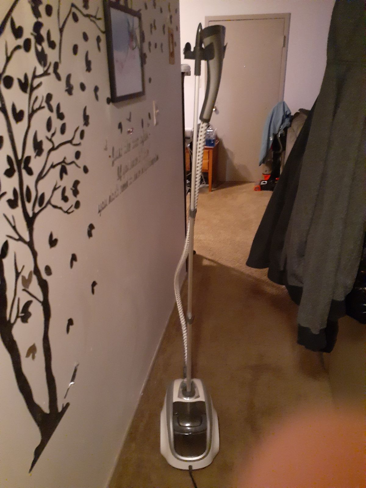 clothes steamer