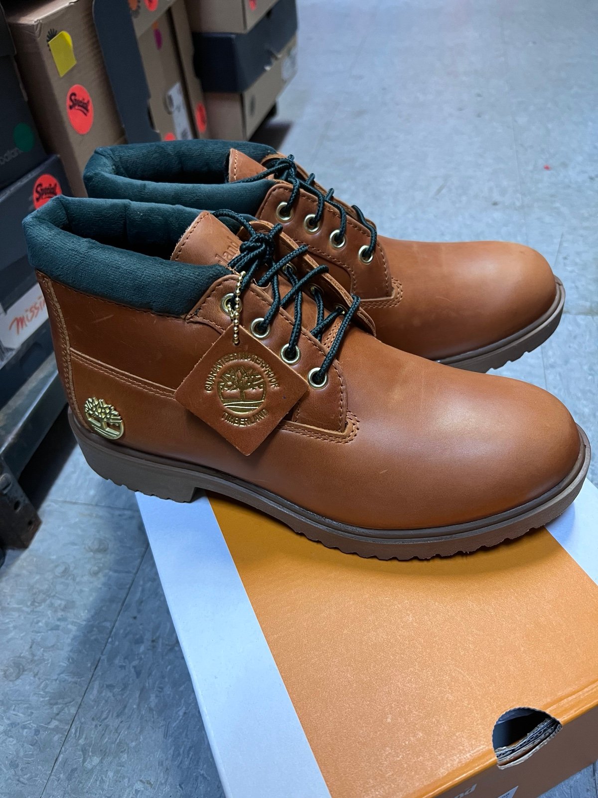 Timberland men chukka boots -new