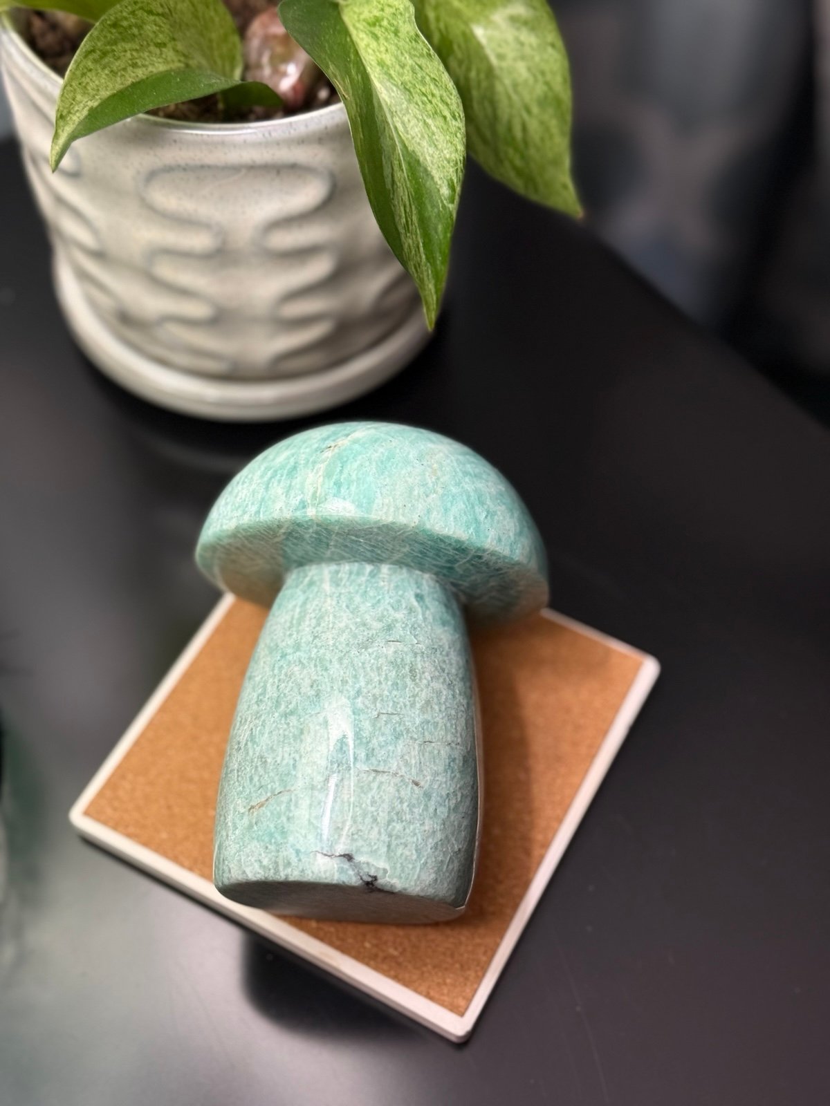 Large Amazonite Mushroom Mushie Collectors Piece