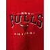 Nutmeg Sweatshirt Red Mens Size L NBA Chicago Bulls Vintage 90s Basketball