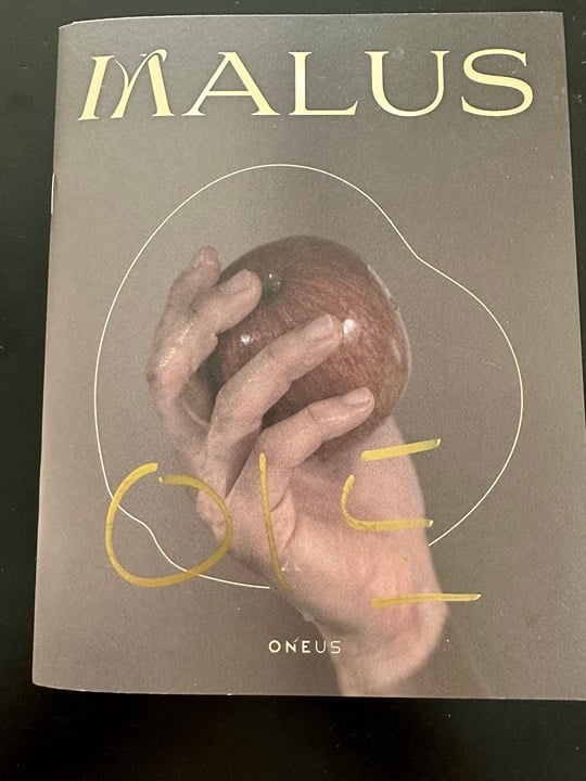 signed oneus leedo gunhak malus album