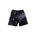 Y2K O’Neil Swim Trunks