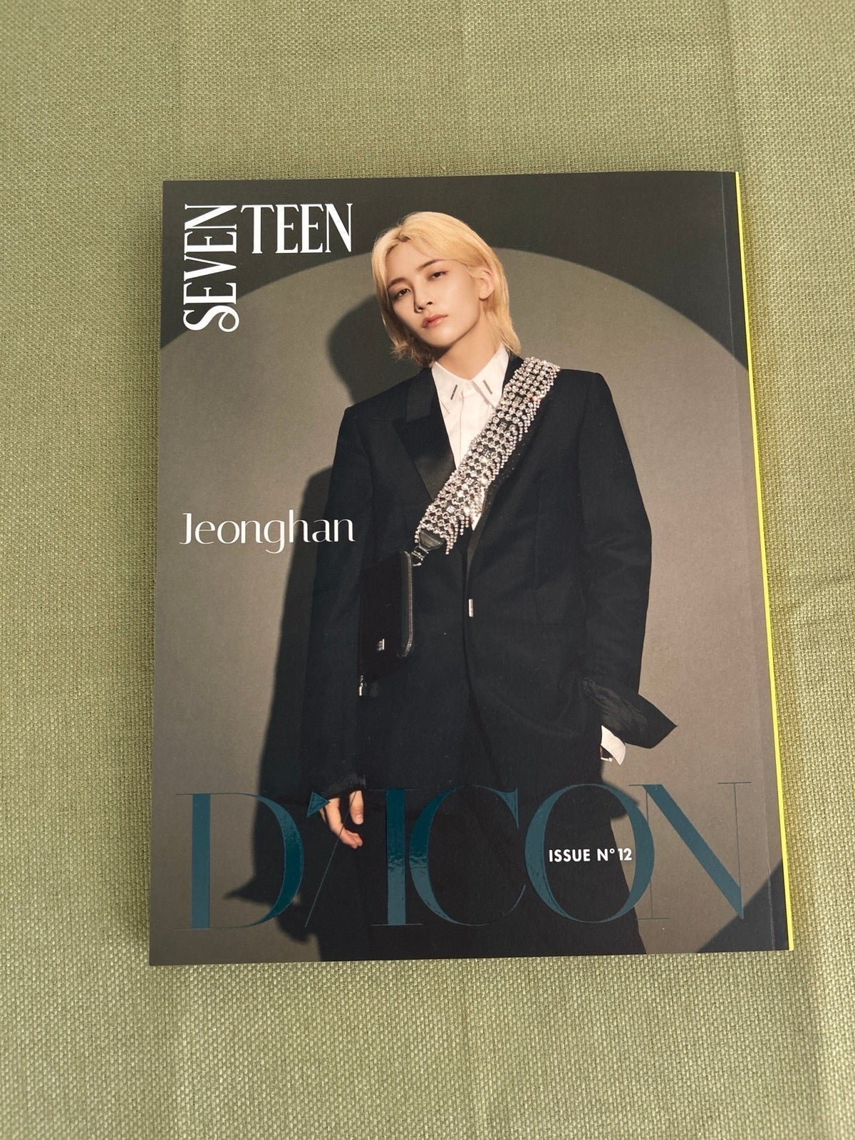 Seventeen Dicon My choice is