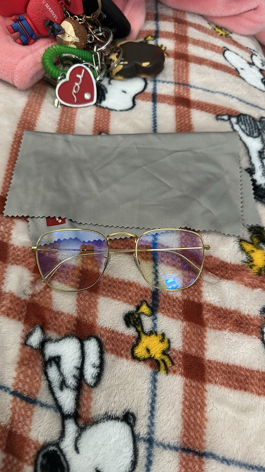Ray-Ban glasses with the case