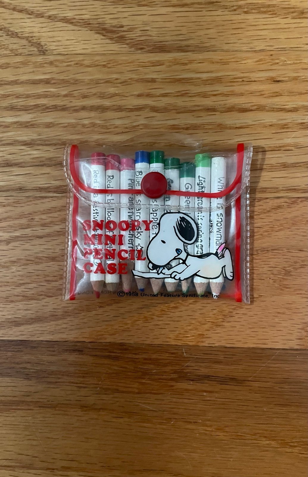 Vintage Snoopy Mini Colored Pencil Case
