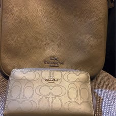 Coach Crossbody and Wallet