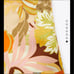 NWT Zara printed high waisted multicolored shorts