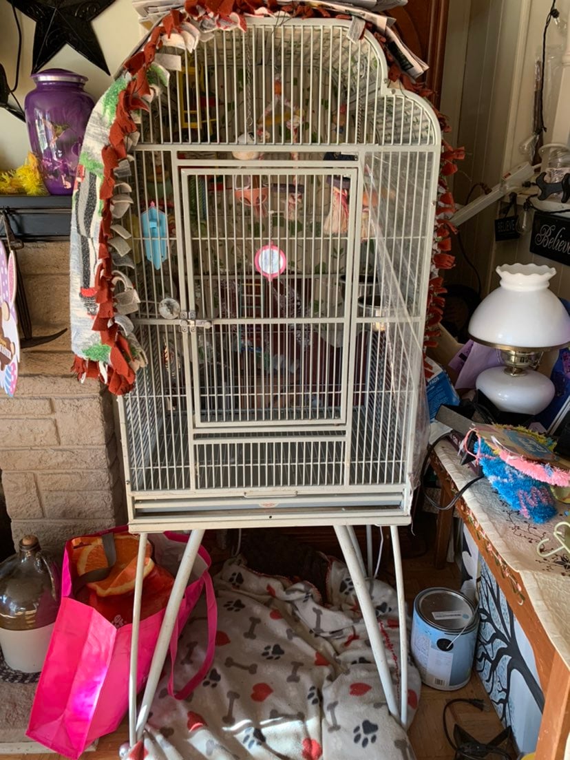 Extra large bird cage