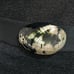 Vintage Large Seashell Shell Buckle Black Elastic Belt One Size Waist 25”-36”