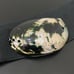 Vintage Large Seashell Shell Buckle Black Elastic Belt One Size Waist 25”-36”