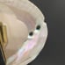 Vintage Large Seashell Shell Buckle Black Elastic Belt One Size Waist 25”-36”