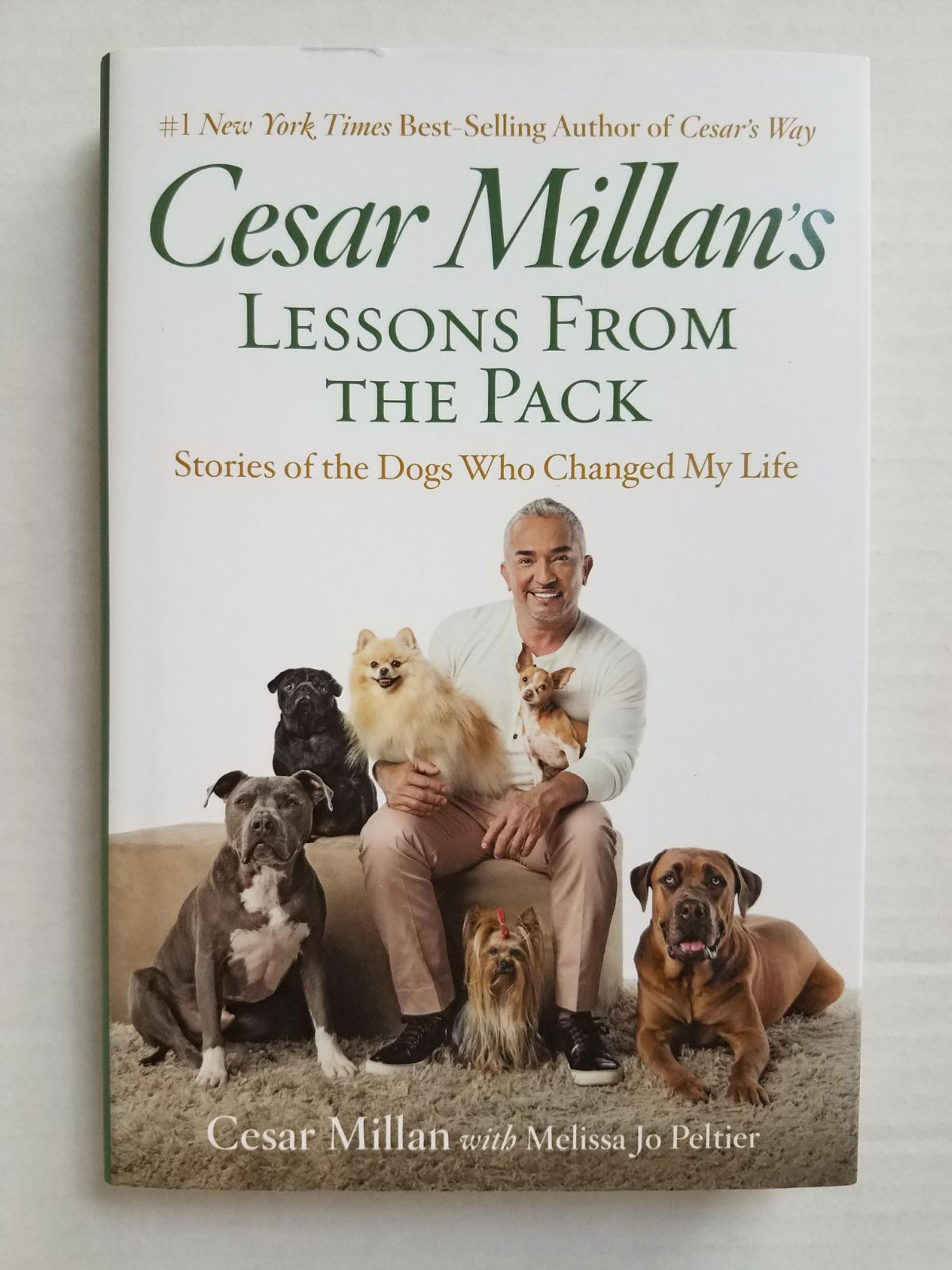 Cesar Millan's Lessons From The Pack