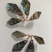 Kendra Scott Malike earrings
