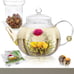 Glass Teapot & Infuser