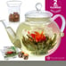 Glass Teapot & Infuser