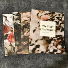 The daily grace co The story of redemption Bible study