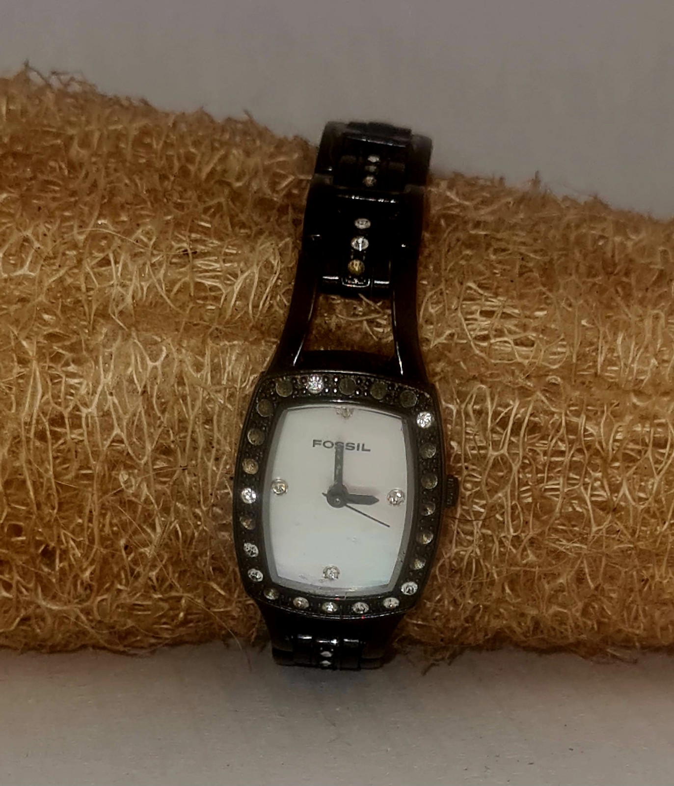 FOSSIL WATCH