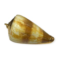 Large Shell Ocean Beach Gold Toned Sea Necklace Pendant