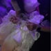 Wedding dress in white.