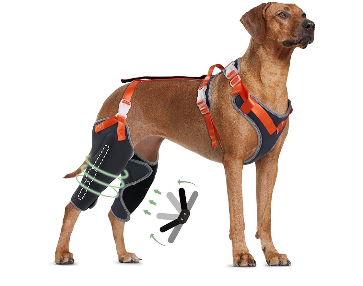 LISPOO Dog Knee Brace for Torn Acl Hind Leg, Dog Leg Braces for Back Leg for XL