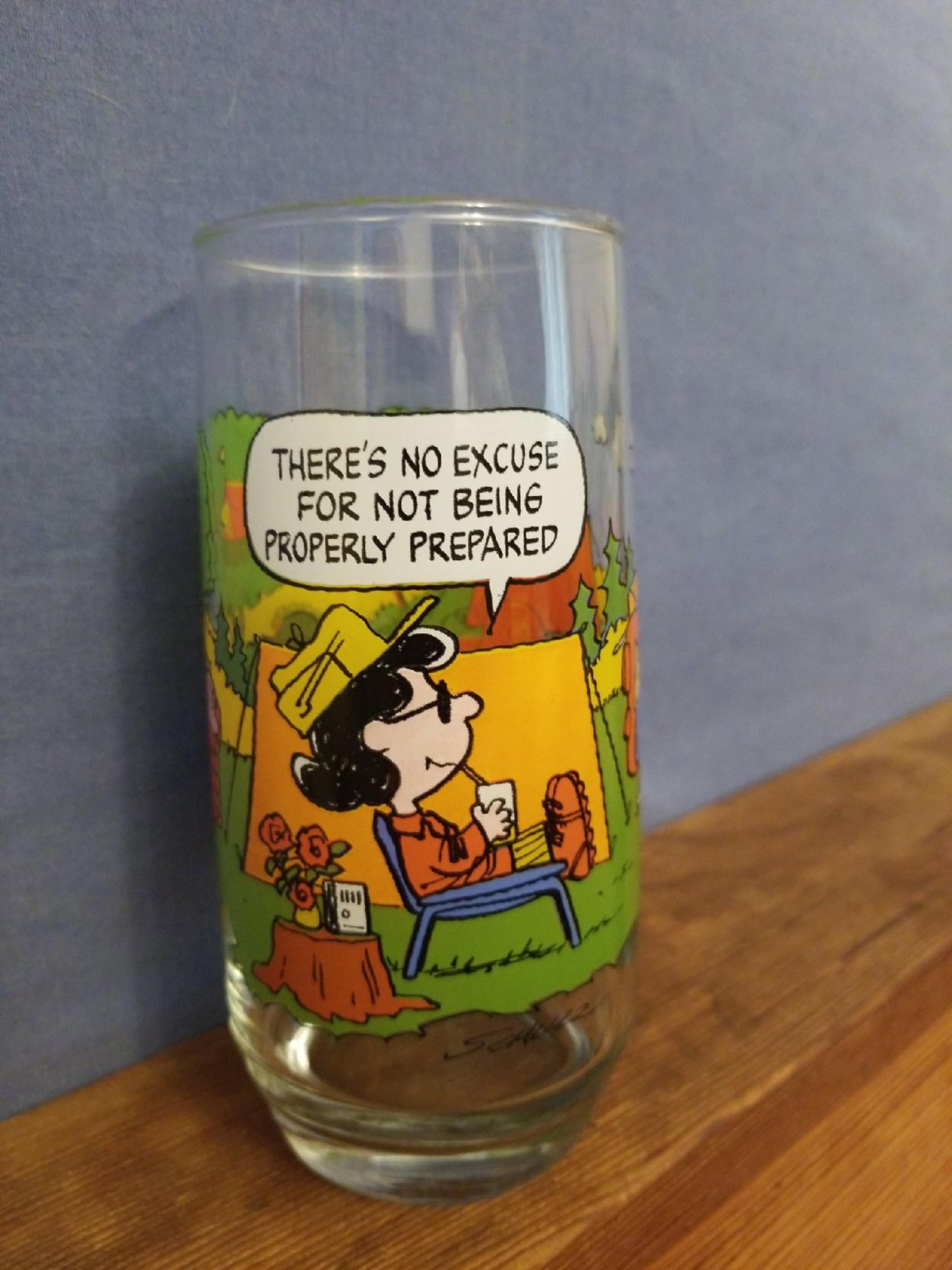 VINTAGE CAMP SNOOPY COLLECTION 1968 GLAS